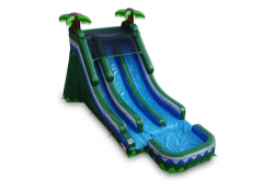 18 Tropical Inflatable Dual Slide Wet