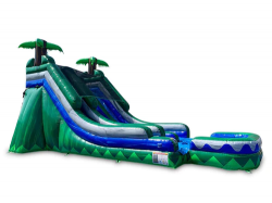 18 Tropical Inflatable Dual Slide Dry